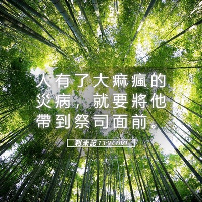 Picture 05 - 利 未 記 13:9 CUVT - 人 有 了 大 痲 瘋 的 災 病 ， 就 要 - Bible Verse Picture