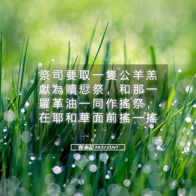 Picture 05 - 利 未 記 14:12 CUVT - 祭 司 要 取 一 隻 公 羊 羔 獻 為 贖 - Bible Verse Picture