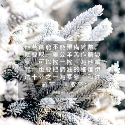 Picture 05 - 利 未 記 14:21 CUVT - 他 若 貧 窮 不 能 預 備 夠 數 ， 就 - Bible Verse Picture