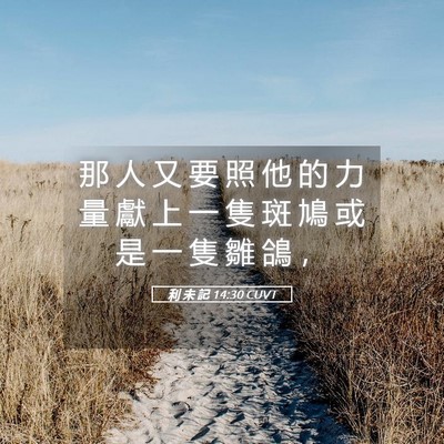 Picture 05 - 利 未 記 14:30 CUVT - 那 人 又 要 照 他 的 力 量 獻 上 一 - Bible Verse Picture