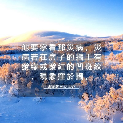 Picture 05 - 利 未 記 14:37 CUVT - 他 要 察 看 那 災 病 ， 災 病 若 在 - Bible Verse Picture