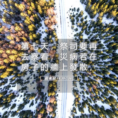 Picture 05 - 利 未 記 14:39 CUVT - 第 七 天 ， 祭 司 要 再 去 察 看 ， - Bible Verse Picture
