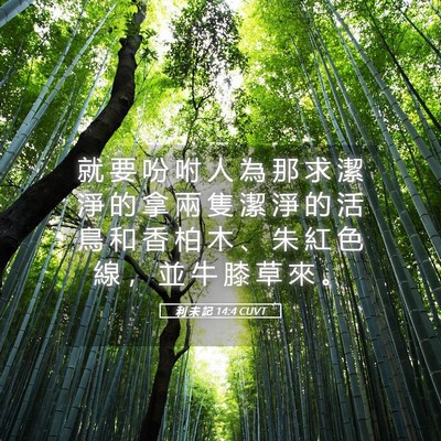Picture 05 - 利 未 記 14:4 CUVT - 就 要 吩 咐 人 為 那 求 潔 淨 的 拿 - Bible Verse Picture