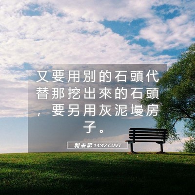 Picture 05 - 利 未 記 14:42 CUVT - 又 要 用 別 的 石 頭 代 替 那 挖 出 - Bible Verse Picture