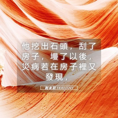 Picture 05 - 利 未 記 14:43 CUVT - 他 挖 出 石 頭 ， 刮 了 房 子 ， 墁 - Bible Verse Picture