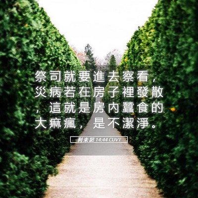 Picture 05 - 利 未 記 14:44 CUVT - 祭 司 就 要 進 去 察 看 ， 災 病 若 - Bible Verse Picture