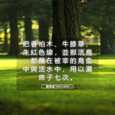 Picture 05 - 利 未 記 14:51 CUVT - 把 香 柏 木 、 牛 膝 草 、 朱 紅 色 - Bible Verse Picture