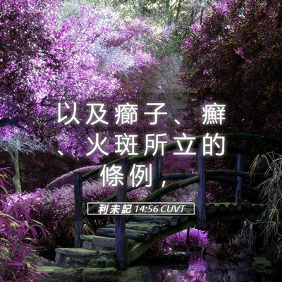 Picture 05 - 利 未 記 14:56 CUVT - 以 及 癤 子 、 癬 、 火 斑 所 立 的 - Bible Verse Picture