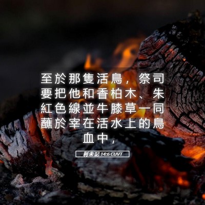 Picture 05 - 利 未 記 14:6 CUVT - 至 於 那 隻 活 鳥 ， 祭 司 要 把 他 - Bible Verse Picture