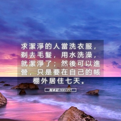 Picture 05 - 利 未 記 14:8 CUVT - 求 潔 淨 的 人 當 洗 衣 服 ， 剃 去 - Bible Verse Picture