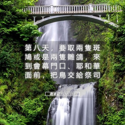 Picture 05 - 利 未 記 15:14 CUVT - 第 八 天 ， 要 取 兩 隻 斑 鳩 或 是 - Bible Verse Picture