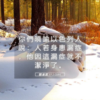 Picture 05 - 利 未 記 15:2 CUVT - 你 們 曉 諭 以 色 列 人 說 ： 人 若 - Bible Verse Picture