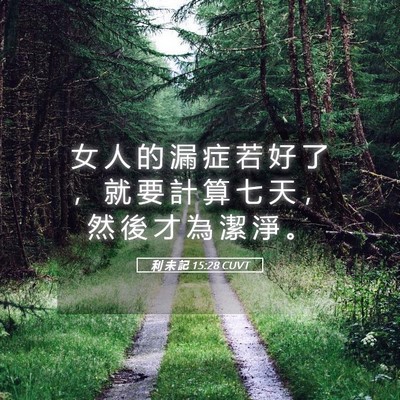 Picture 05 - 利 未 記 15:28 CUVT - 女 人 的 漏 症 若 好 了 ， 就 要 計 - Bible Verse Picture