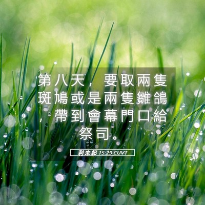 Picture 05 - 利 未 記 15:29 CUVT - 第 八 天 ， 要 取 兩 隻 斑 鳩 或 是 - Bible Verse Picture