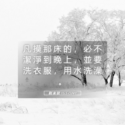 Picture 05 - 利 未 記 15:5 CUVT - 凡 摸 那 床 的 ， 必 不 潔 淨 到 晚 - Bible Verse Picture
