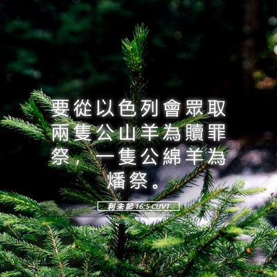 Picture 05 - 利 未 記 16:5 CUVT - 要 從 以 色 列 會 眾 取 兩 隻 公 山 - Bible Verse Picture