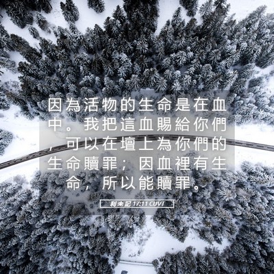 Picture 05 - 利 未 記 17:11 CUVT - 因 為 活 物 的 生 命 是 在 血 中 。 - Bible Verse Picture