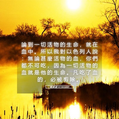 Picture 05 - 利 未 記 17:14 CUVT - 論 到 一 切 活 物 的 生 命 ， 就 在 - Bible Verse Picture