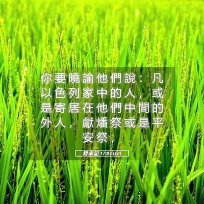 Picture 05 - 利 未 記 17:8 CUVT - 你 要 曉 諭 他 們 說 ： 凡 以 色 列 - Bible Verse Picture