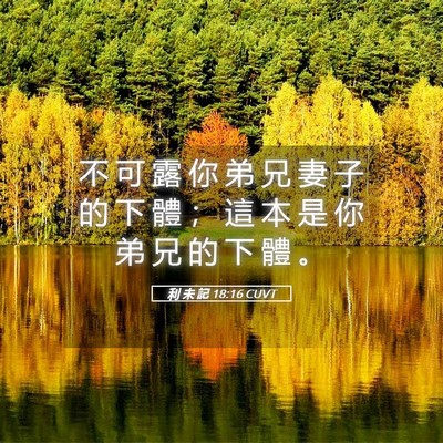 Picture 05 - 利 未 記 18:16 CUVT - 不 可 露 你 弟 兄 妻 子 的 下 體 ； - Bible Verse Picture