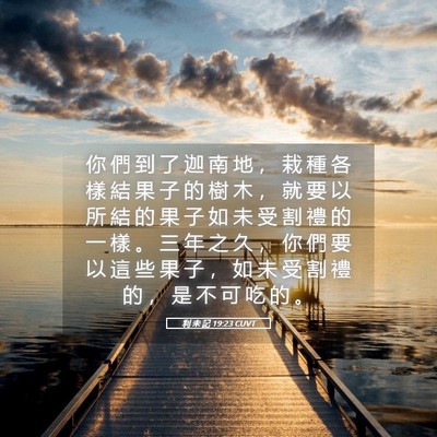 Picture 05 - 利 未 記 19:23 CUVT - 你 們 到 了 迦 南 地 ， 栽 種 各 樣 - Bible Verse Picture