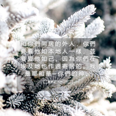 Picture 05 - 利 未 記 19:34 CUVT - 和 你 們 同 居 的 外 人 ， 你 們 要 - Bible Verse Picture