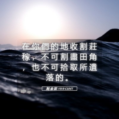 Picture 05 - 利 未 記 19:9 CUVT - 在 你 們 的 地 收 割 莊 稼 ， 不 可 - Bible Verse Picture