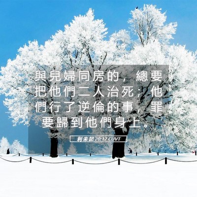 Picture 05 - 利 未 記 20:12 CUVT - 與 兒 婦 同 房 的 ， 總 要 把 他 們 - Bible Verse Picture