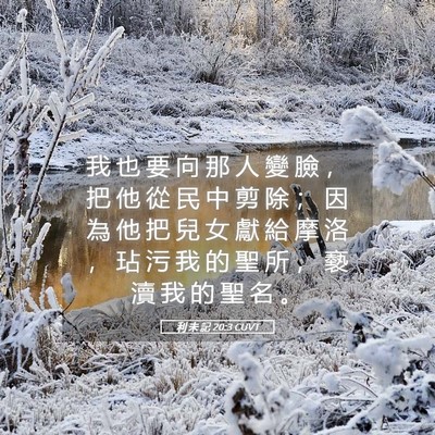 Picture 05 - 利 未 記 20:3 CUVT - 我 也 要 向 那 人 變 臉 ， 把 他 從 - Bible Verse Picture