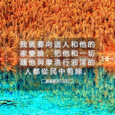 Picture 05 - 利 未 記 20:5 CUVT - 我 就 要 向 這 人 和 他 的 家 變 臉 - Bible Verse Picture