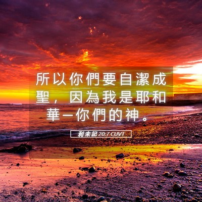 Picture 05 - 利 未 記 20:7 CUVT - 所 以 你 們 要 自 潔 成 聖 ， 因 為 - Bible Verse Picture
