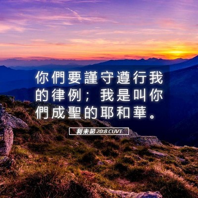 Picture 05 - 利 未 記 20:8 CUVT - 你 們 要 謹 守 遵 行 我 的 律 例 ； - Bible Verse Picture