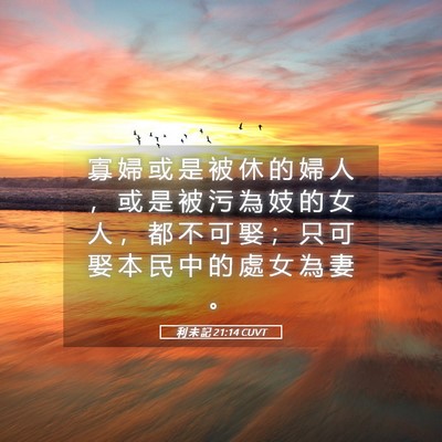 Picture 05 - 利 未 記 21:14 CUVT - 寡 婦 或 是 被 休 的 婦 人 ， 或 是 - Bible Verse Picture