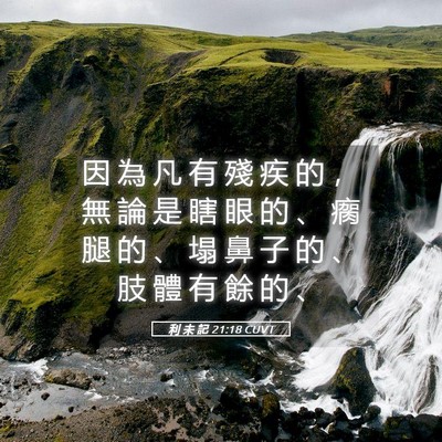 Picture 05 - 利 未 記 21:18 CUVT - 因 為 凡 有 殘 疾 的 ， 無 論 是 瞎 - Bible Verse Picture