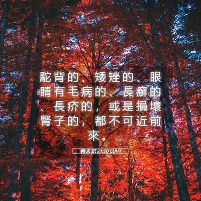 Picture 05 - 利 未 記 21:20 CUVT - 駝 背 的 、 矮 矬 的 、 眼 睛 有 毛 - Bible Verse Picture