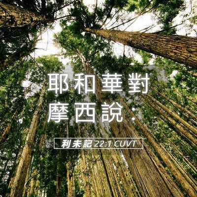 Picture 05 - 利 未 記 22:1 CUVT - 耶 和 華 對 摩 西 說 - Bible Verse Picture