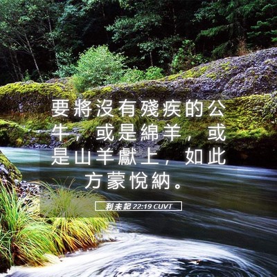 Picture 05 - 利 未 記 22:19 CUVT - 要 將 沒 有 殘 疾 的 公 牛 ， 或 是 - Bible Verse Picture