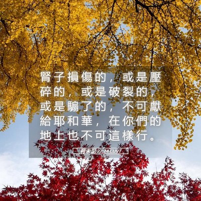 Picture 05 - 利 未 記 22:24 CUVT - 腎 子 損 傷 的 ， 或 是 壓 碎 的 ， - Bible Verse Picture