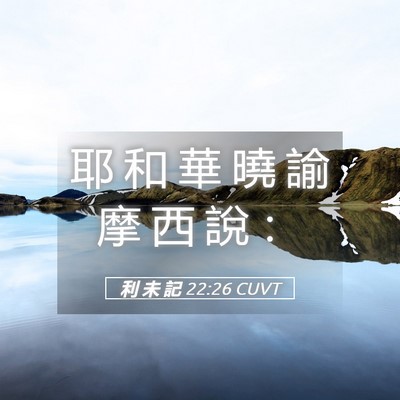 Picture 05 - 利 未 記 22:26 CUVT - 耶 和 華 曉 諭 摩 西 說 - Bible Verse Picture