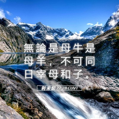 Picture 05 - 利 未 記 22:28 CUVT - 無 論 是 母 牛 是 母 羊 ， 不 可 同 - Bible Verse Picture