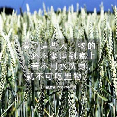 Picture 05 - 利 未 記 22:6 CUVT - 摸 了 這 些 人 、 物 的 ， 必 不 潔 - Bible Verse Picture
