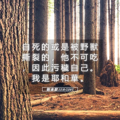 Picture 05 - 利 未 記 22:8 CUVT - 自 死 的 或 是 被 野 獸 撕 裂 的 ， - Bible Verse Picture