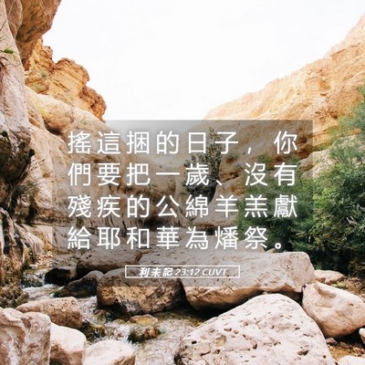 Picture 05 - 利 未 記 23:12 CUVT - 搖 這 捆 的 日 子 ， 你 們 要 把 一 - Bible Verse Picture