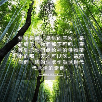 Picture 05 - 利 未 記 23:14 CUVT - 無 論 是 餅 ， 是 烘 的 子 粒 ， 是 - Bible Verse Picture