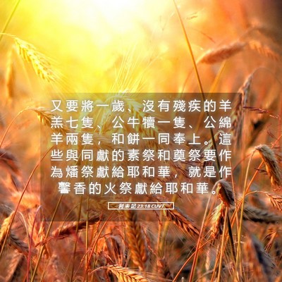 Picture 05 - 利 未 記 23:18 CUVT - 又 要 將 一 歲 、 沒 有 殘 疾 的 羊 - Bible Verse Picture