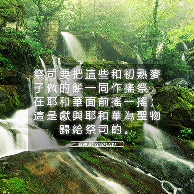 Picture 05 - 利 未 記 23:20 CUVT - 祭 司 要 把 這 些 和 初 熟 麥 子 做 - Bible Verse Picture