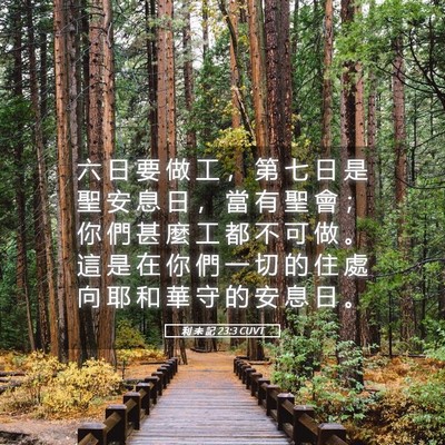 Picture 05 - 利 未 記 23:3 CUVT - 六 日 要 做 工 ， 第 七 日 是 聖 安 - Bible Verse Picture
