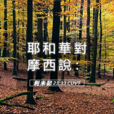 Picture 05 - 利 未 記 23:33 CUVT - 耶 和 華 對 摩 西 說 - Bible Verse Picture