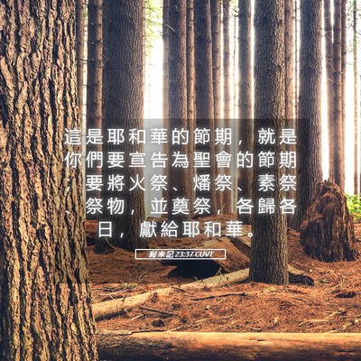 Picture 05 - 利 未 記 23:37 CUVT - 這 是 耶 和 華 的 節 期 ， 就 是 你 - Bible Verse Picture