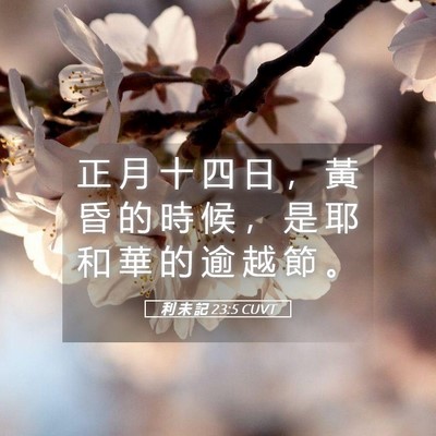 Picture 05 - 利 未 記 23:5 CUVT - 正 月 十 四 日 ， 黃 昏 的 時 候 ， - Bible Verse Picture